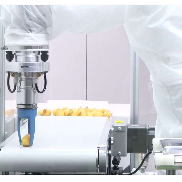 6-assige CNC-robotarm met line - Linear Rail recensie en prijs